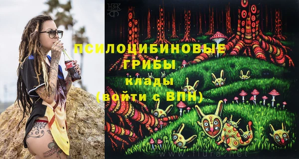 PSILOCYBIN Бугульма